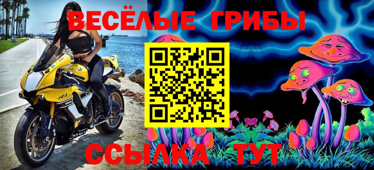 Псилоцибиновые грибы Cubensis  Вход с VPN  Галлюциногенные грибы Psilocybine cubensis  Алейск 